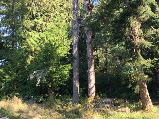 Picture of Point Roberts Parcel Number 405311-040545